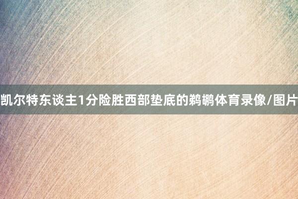 凯尔特东谈主1分险胜西部垫底的鹈鹕体育录像/图片