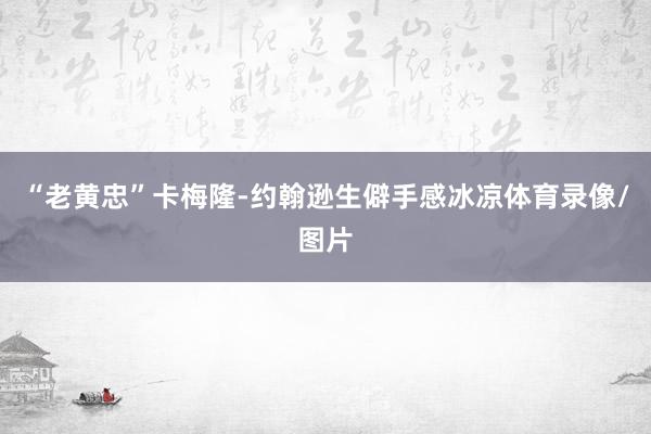 “老黄忠”卡梅隆-约翰逊生僻手感冰凉体育录像/图片