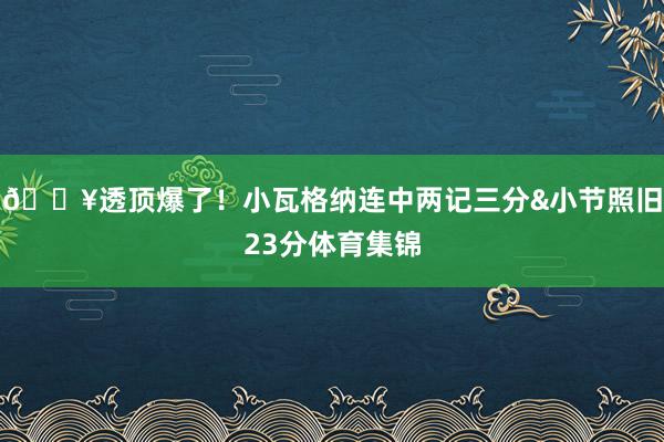 💥透顶爆了！小瓦格纳连中两记三分&小节照旧23分体育集锦