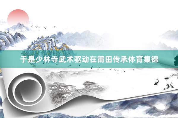 于是少林寺武术驱动在莆田传承体育集锦