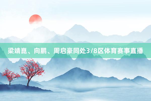 梁靖崑、向鹏、周启豪同处3/8区体育赛事直播