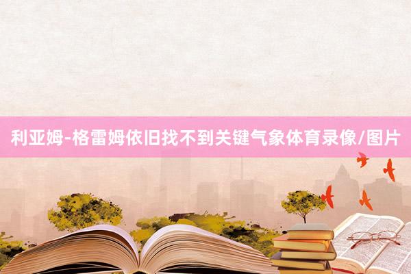 利亚姆-格雷姆依旧找不到关键气象体育录像/图片