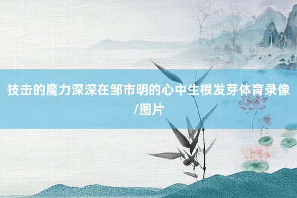 技击的魔力深深在邹市明的心中生根发芽体育录像/图片