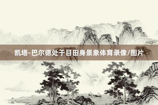 凯塔-巴尔德处于目田身景象体育录像/图片