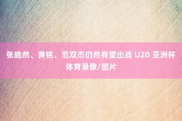 张皓然、黄铭、范双杰仍然有望出战 U20 亚洲杯体育录像/图片