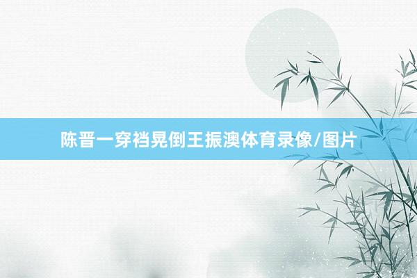 陈晋一穿裆晃倒王振澳体育录像/图片