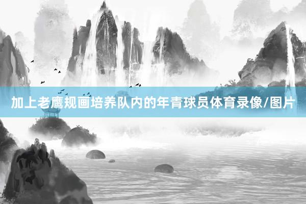 加上老鹰规画培养队内的年青球员体育录像/图片