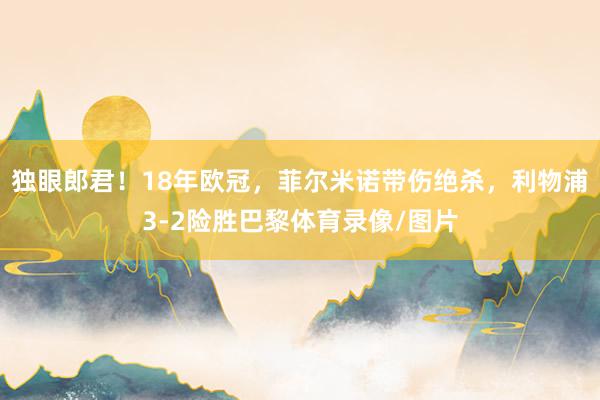 独眼郎君！18年欧冠，菲尔米诺带伤绝杀，利物浦3-2险胜巴黎体育录像/图片