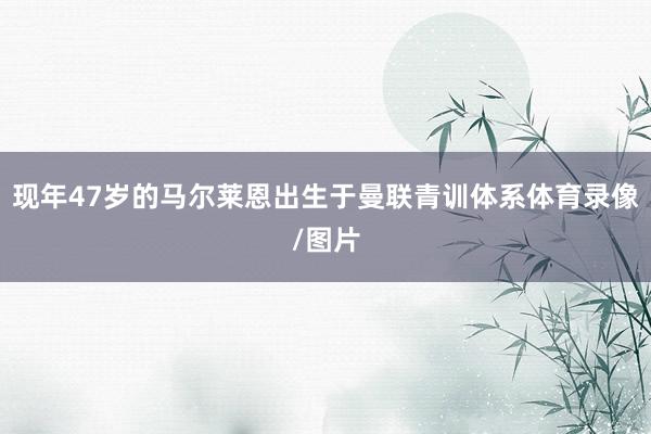 现年47岁的马尔莱恩出生于曼联青训体系体育录像/图片