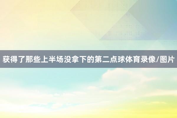 获得了那些上半场没拿下的第二点球体育录像/图片