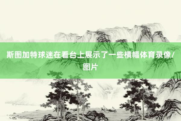 斯图加特球迷在看台上展示了一些横幅体育录像/图片