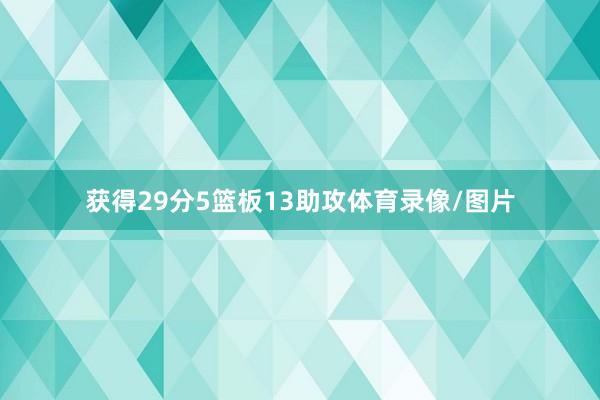 获得29分5篮板13助攻体育录像/图片