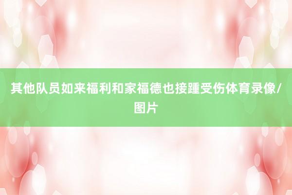 其他队员如来福利和家福德也接踵受伤体育录像/图片