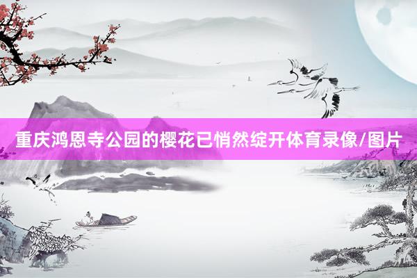 重庆鸿恩寺公园的樱花已悄然绽开体育录像/图片