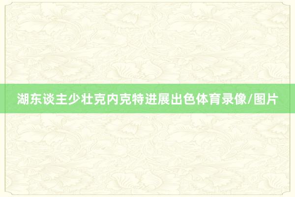 湖东谈主少壮克内克特进展出色体育录像/图片