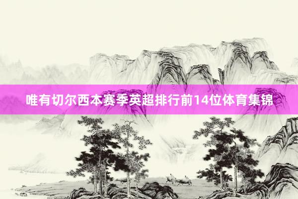 唯有切尔西本赛季英超排行前14位体育集锦