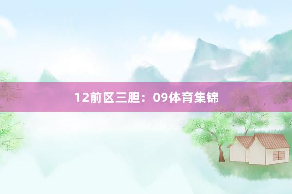 12 前区三胆:09体育集锦
