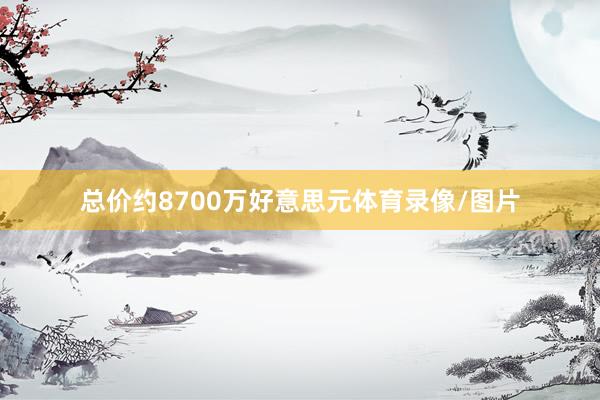 总价约8700万好意思元体育录像/图片