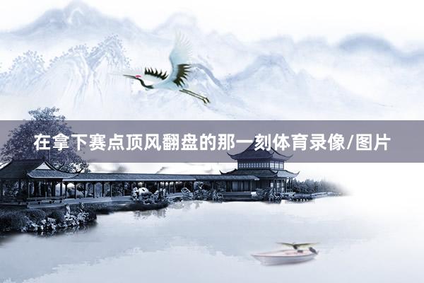 在拿下赛点顶风翻盘的那一刻体育录像/图片