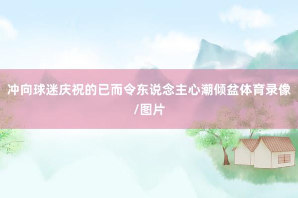 冲向球迷庆祝的已而令东说念主心潮倾盆体育录像/图片