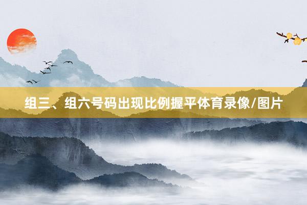 组三、组六号码出现比例握平体育录像/图片