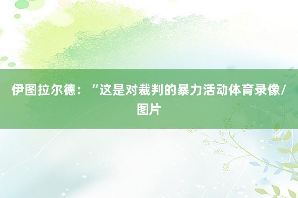 伊图拉尔德：“这是对裁判的暴力活动体育录像/图片