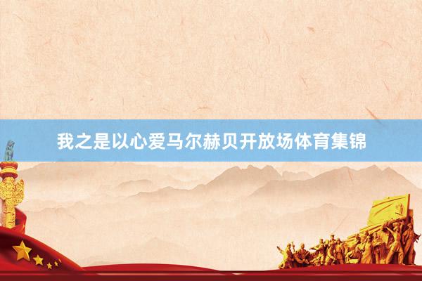 我之是以心爱马尔赫贝开放场体育集锦