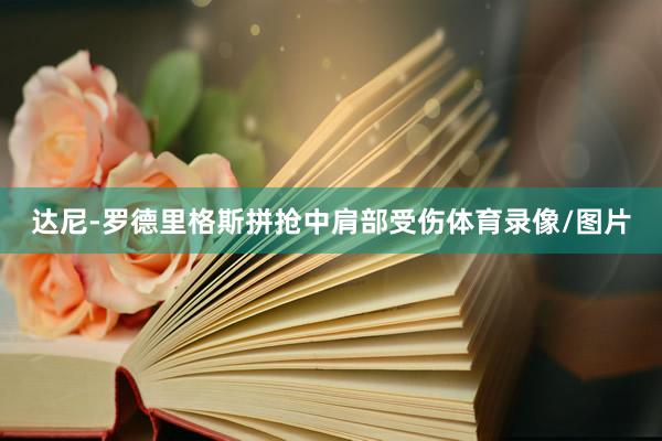 达尼-罗德里格斯拼抢中肩部受伤体育录像/图片