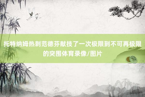 托特纳姆热刺范德芬献技了一次极限到不可再极限的突围体育录像/图片