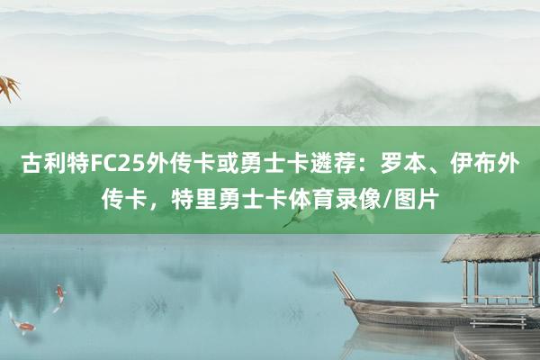 古利特FC25外传卡或勇士卡遴荐:罗本、伊布外传卡,特里勇士卡体育录像/图片