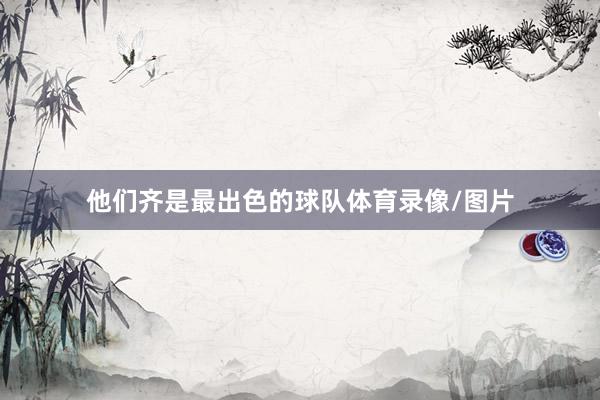 他们齐是最出色的球队体育录像/图片