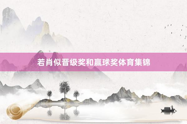 若肖似晋级奖和赢球奖体育集锦