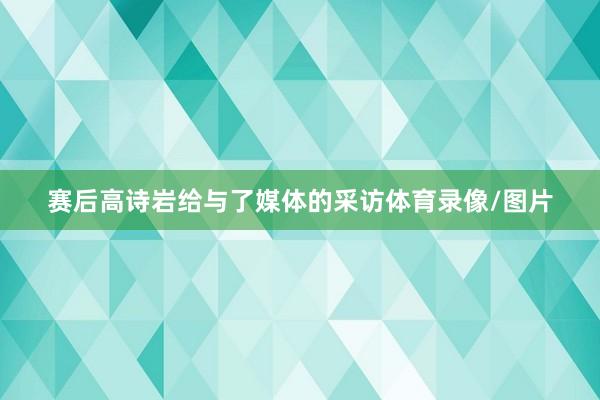 赛后高诗岩给与了媒体的采访体育录像/图片
