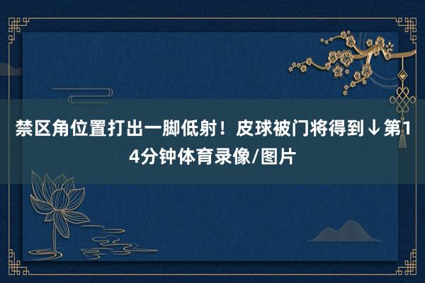禁区角位置打出一脚低射！皮球被门将得到↓第14分钟体育录像/图片