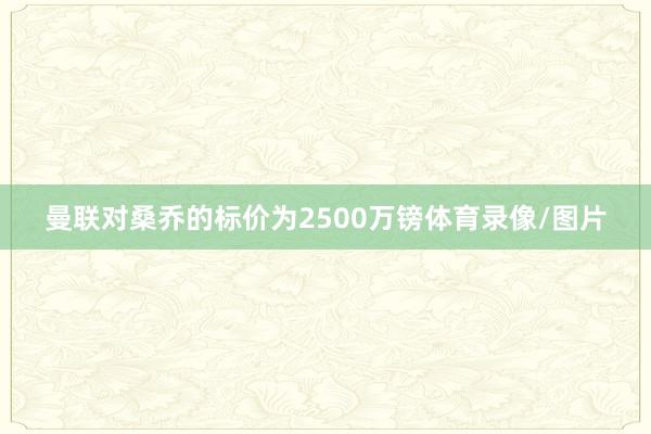 曼联对桑乔的标价为2500万镑体育录像/图片