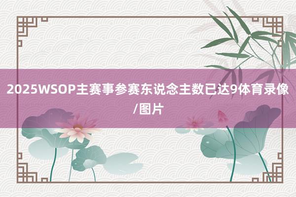 2025WSOP主赛事参赛东说念主数已达9体育录像/图片