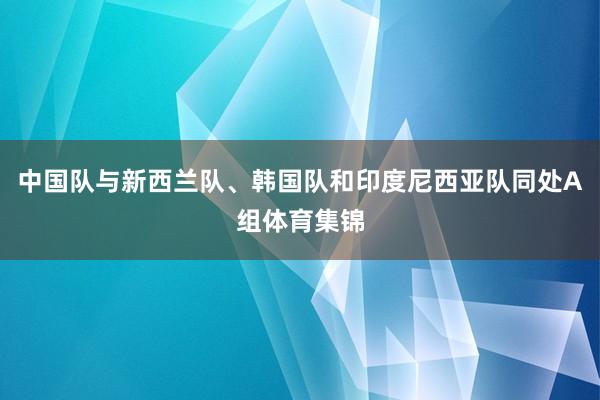 中国队与新西兰队、韩国队和印度尼西亚队同处A组体育集锦