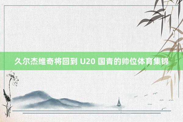 久尔杰维奇将回到 U20 国青的帅位体育集锦