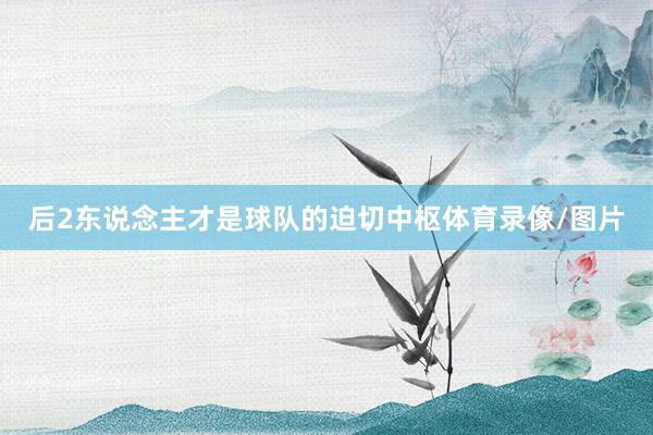 后2东说念主才是球队的迫切中枢体育录像/图片