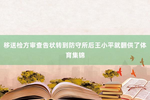 移送检方审查告状转到防守所后王小平就翻供了体育集锦