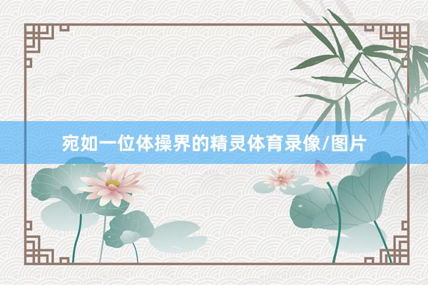 宛如一位体操界的精灵体育录像/图片