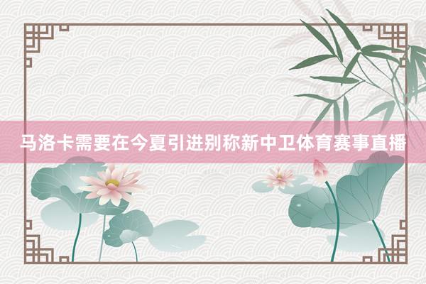马洛卡需要在今夏引进别称新中卫体育赛事直播