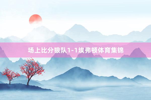 场上比分狼队1-1埃弗顿体育集锦