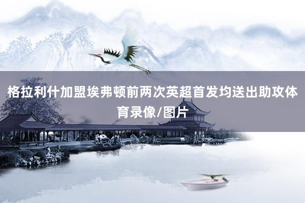 格拉利什加盟埃弗顿前两次英超首发均送出助攻体育录像/图片