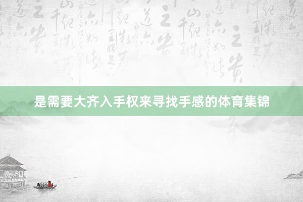 是需要大齐入手权来寻找手感的体育集锦