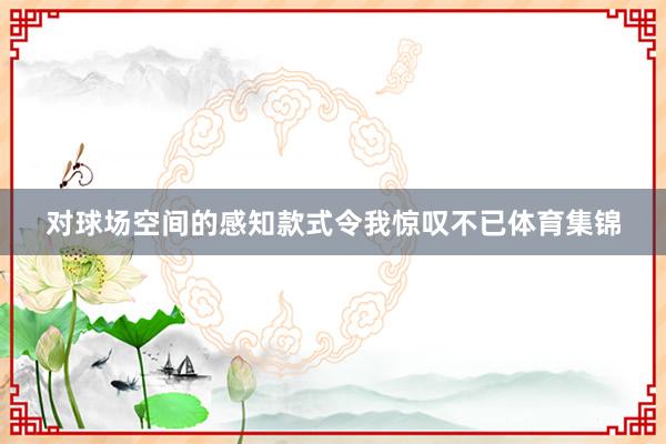 对球场空间的感知款式令我惊叹不已体育集锦