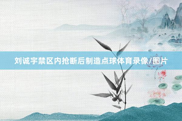 刘诚宇禁区内抢断后制造点球体育录像/图片