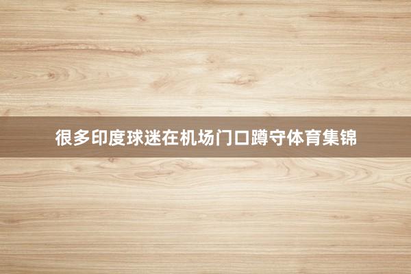 很多印度球迷在机场门口蹲守体育集锦