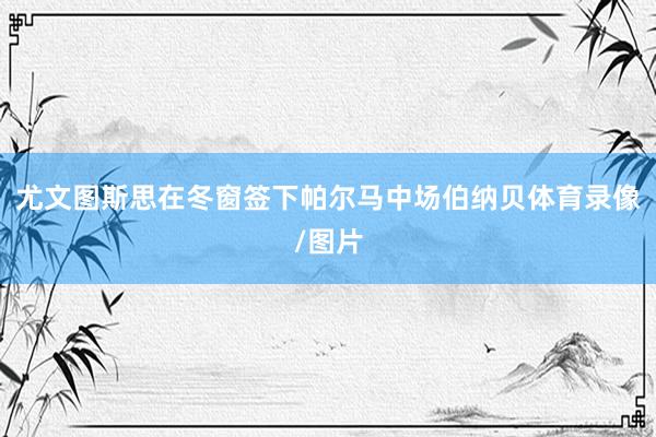 尤文图斯思在冬窗签下帕尔马中场伯纳贝体育录像/图片