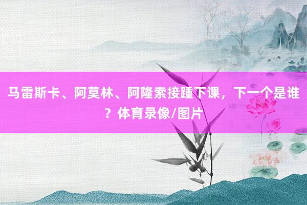 马雷斯卡、阿莫林、阿隆索接踵下课，下一个是谁？体育录像/图片